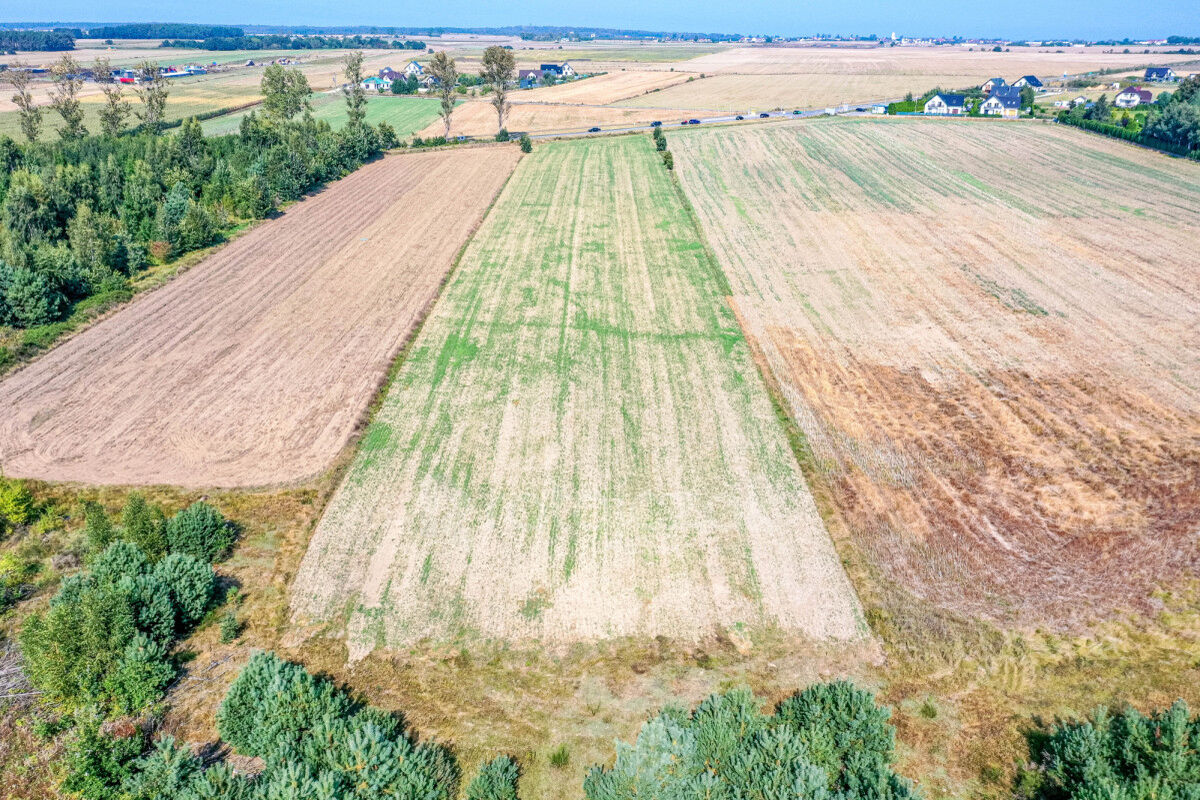 2 HEKTARY | DZIAŁKA USŁUGOWO-PRZEMYSŁOWA | Z MPZPŁebcz