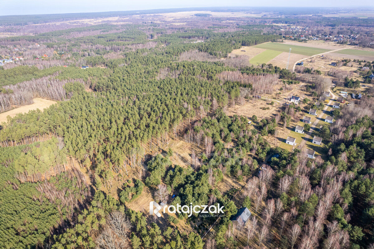 DZIAŁKA INWESTYCYJNA | SASINO | LAS WIDOK NA MORZESasino