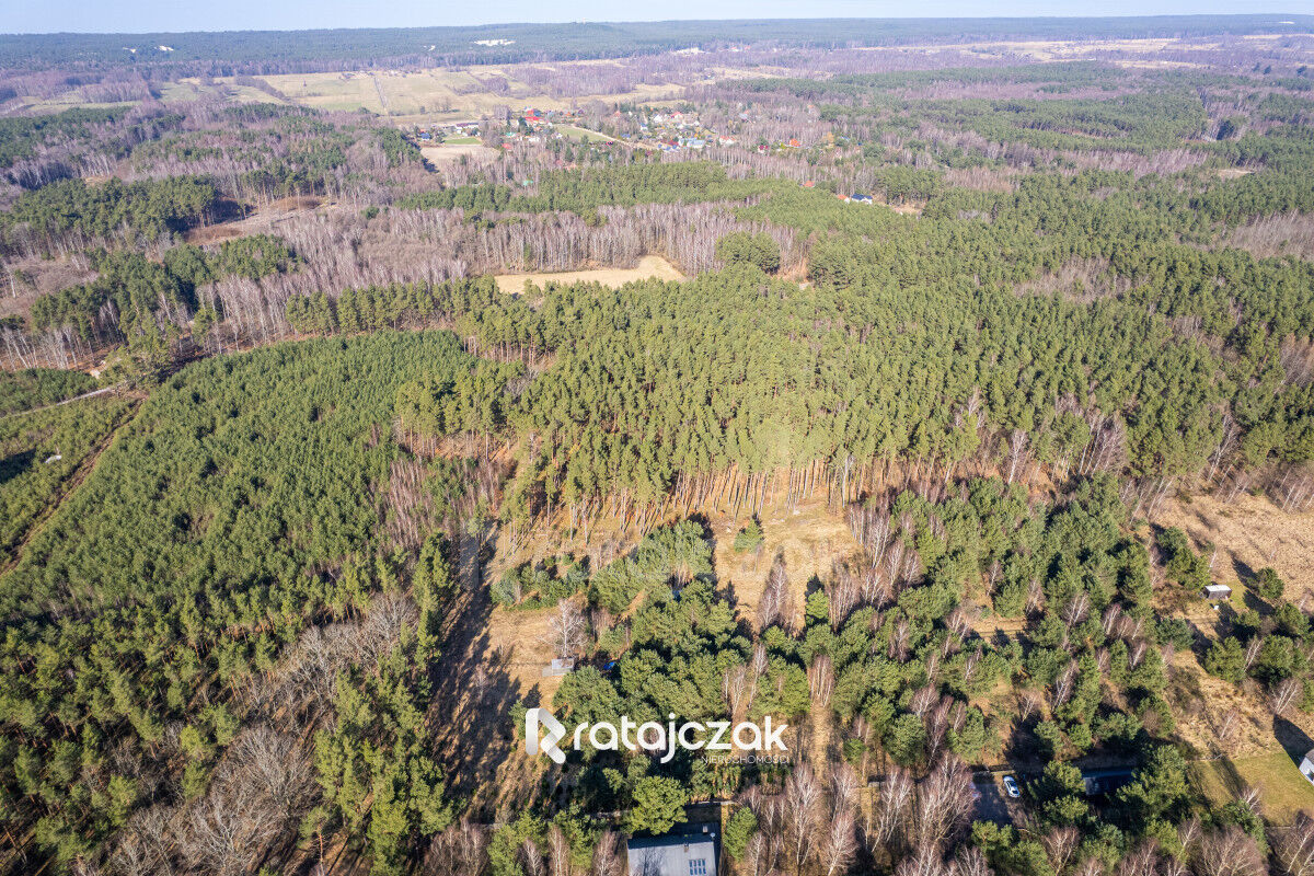 DZIAŁKA INWESTYCYJNA | SASINO | LAS WIDOK NA MORZESasino