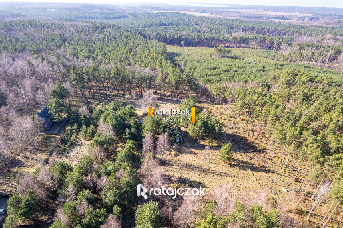 DZIAŁKA INWESTYCYJNA | SASINO | LAS WIDOK NA MORZESasino