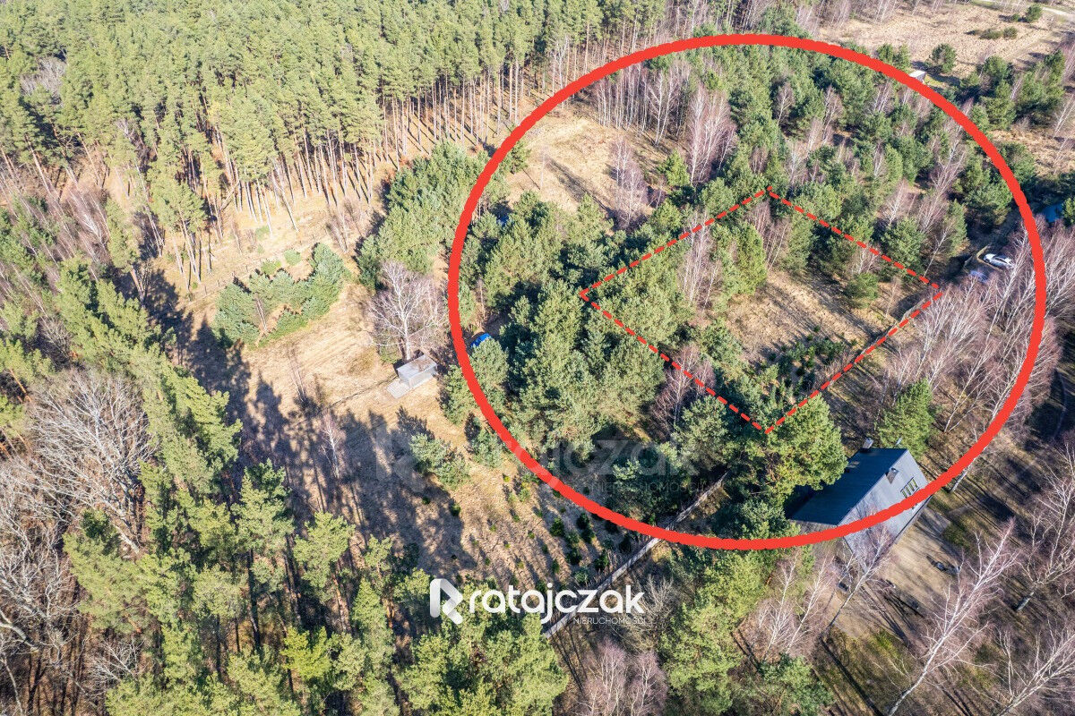 DZIAŁKA INWESTYCYJNA | SASINO | LAS WIDOK NA MORZESasino