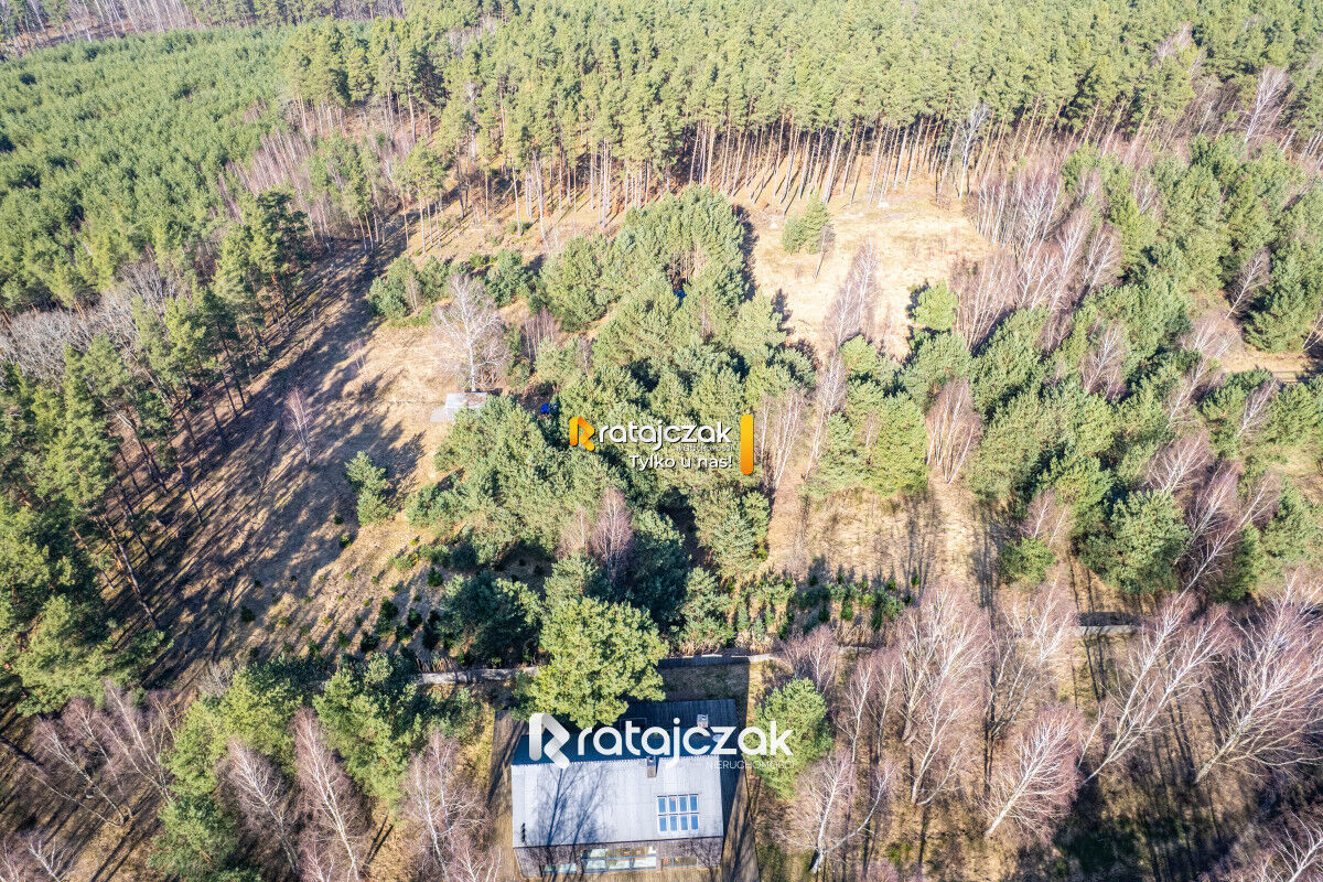 DZIAŁKA INWESTYCYJNA | SASINO | LAS WIDOK NA MORZESasino