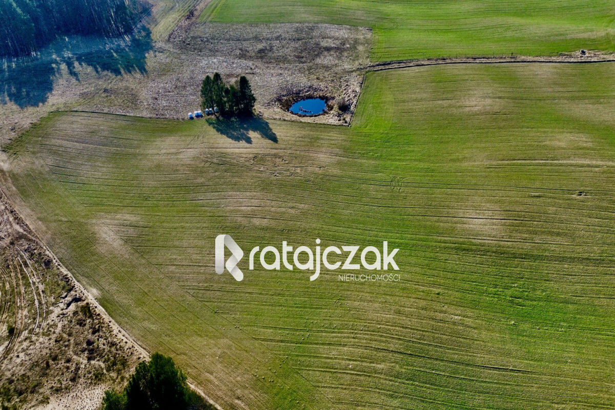 Powierzchnia działek: 2069 m² - 3537 m² | MpzpGdynia