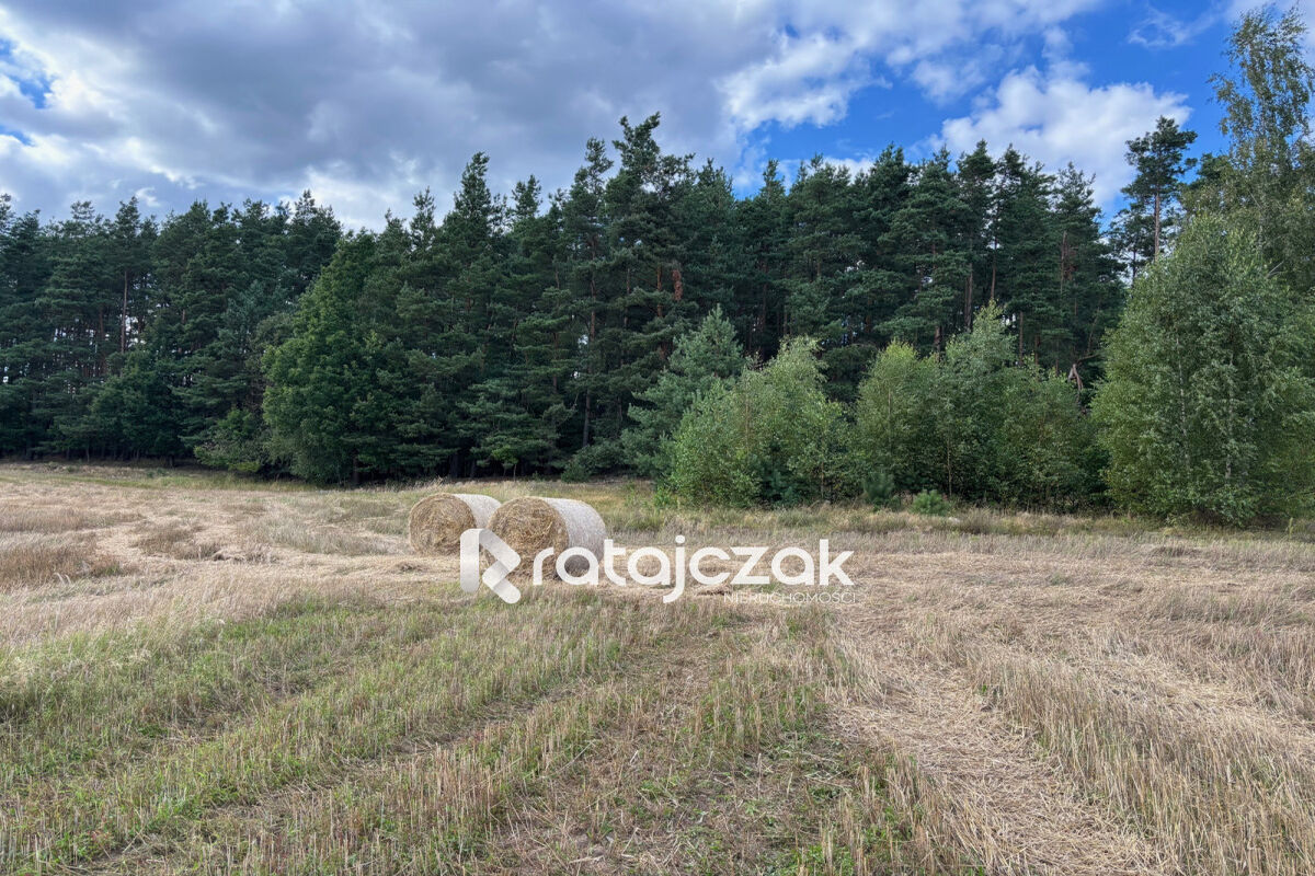 Powierzchnia działek: 2069 m² - 3537 m² | MpzpGdynia