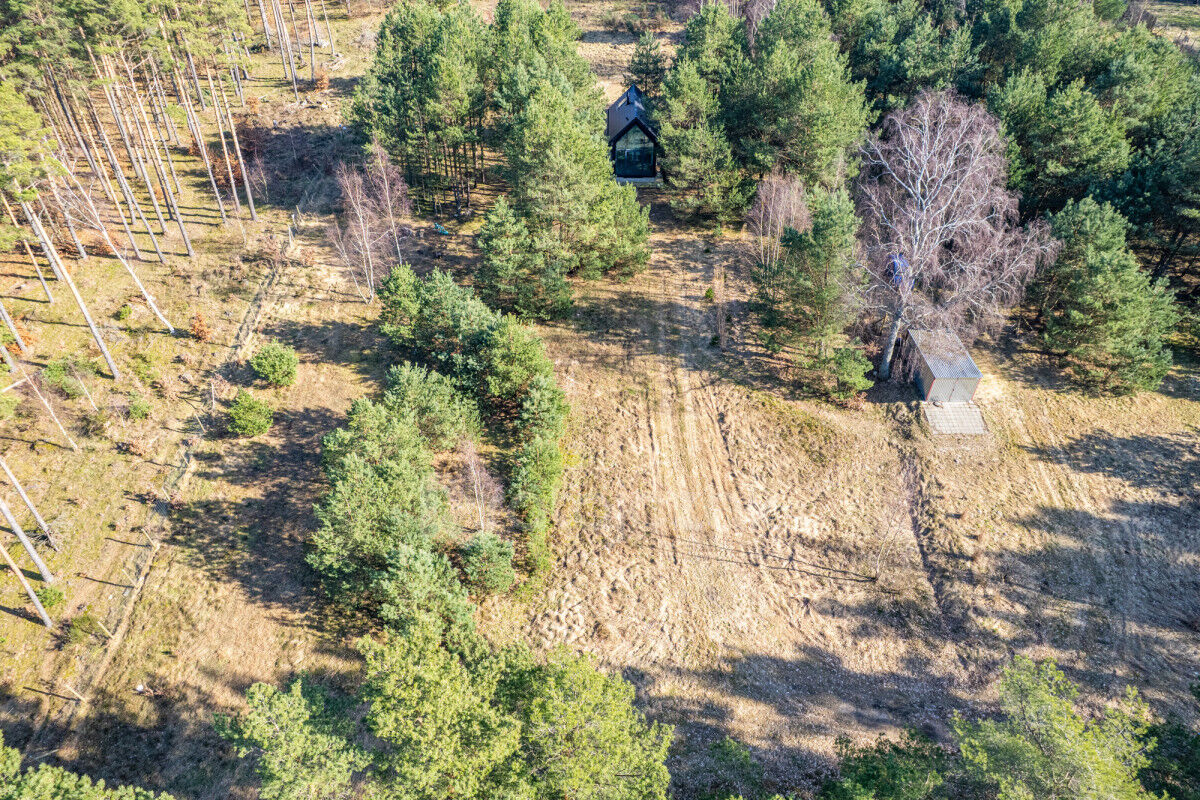 DOMEK NAD MORZEM | LAS | SASINO | 3 156m2 DZIAŁKASasino