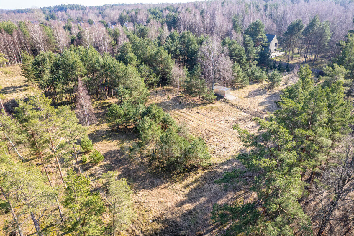 DOMEK NAD MORZEM | LAS | SASINO | 3 156m2 DZIAŁKASasino