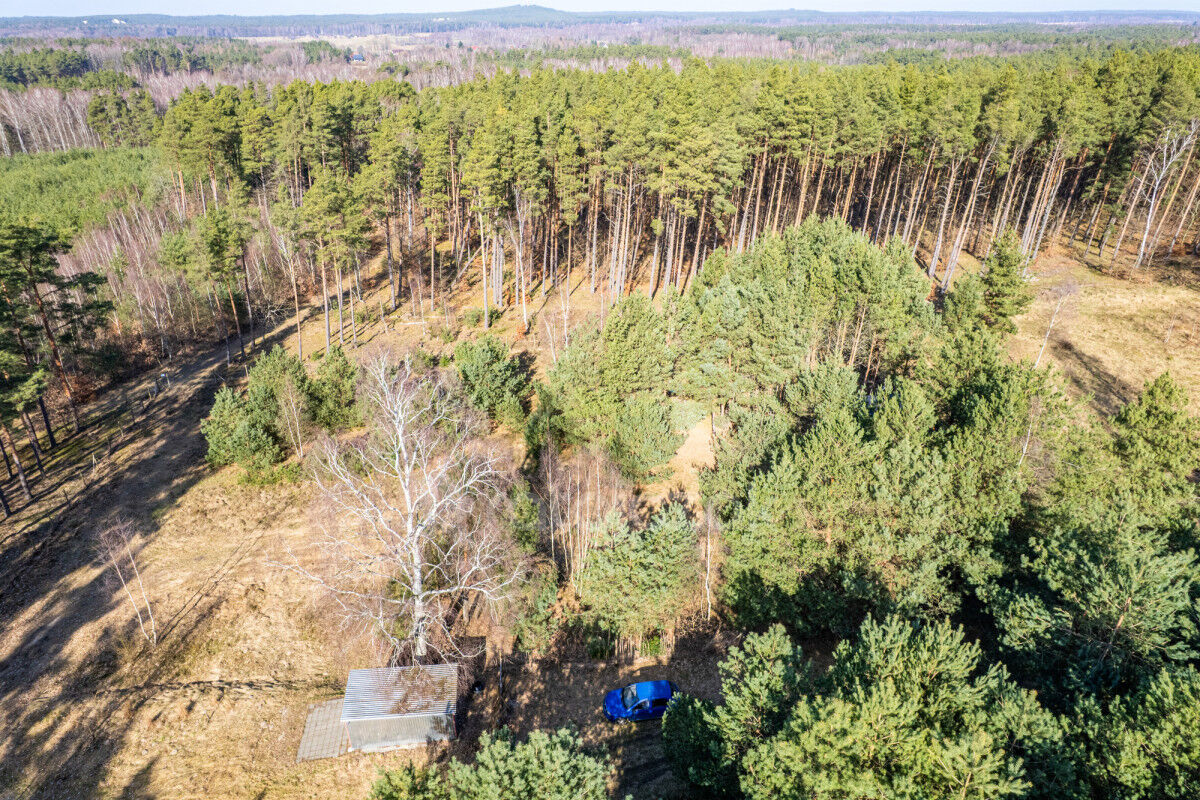 DOMEK NAD MORZEM | LAS | SASINO | 3 156m2 DZIAŁKASasino