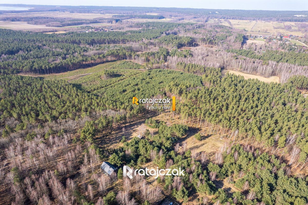 DOMEK NAD MORZEM | LAS | SASINO | 3 156m2 DZIAŁKASasino