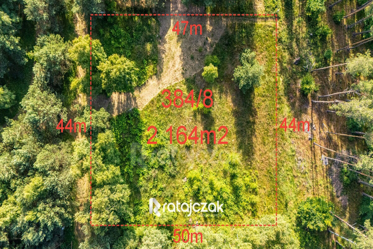 DZIAŁKA BUDOWLANA | SASINO | POD LASEM | MORZESasino