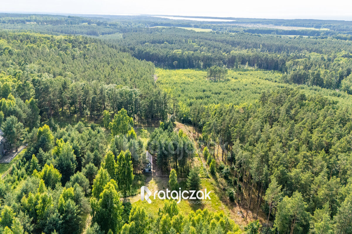 DZIAŁKA BUDOWLANA | SASINO | POD LASEM | MORZESasino