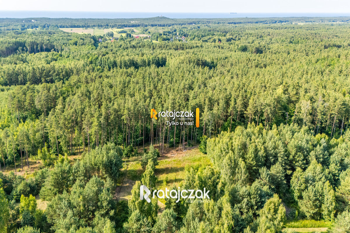 DZIAŁKA BUDOWLANA | SASINO | POD LASEM | MORZESasino