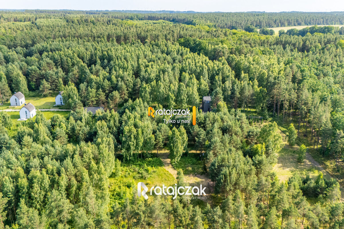DZIAŁKA BUDOWLANA | SASINO | POD LASEM | MORZESasino
