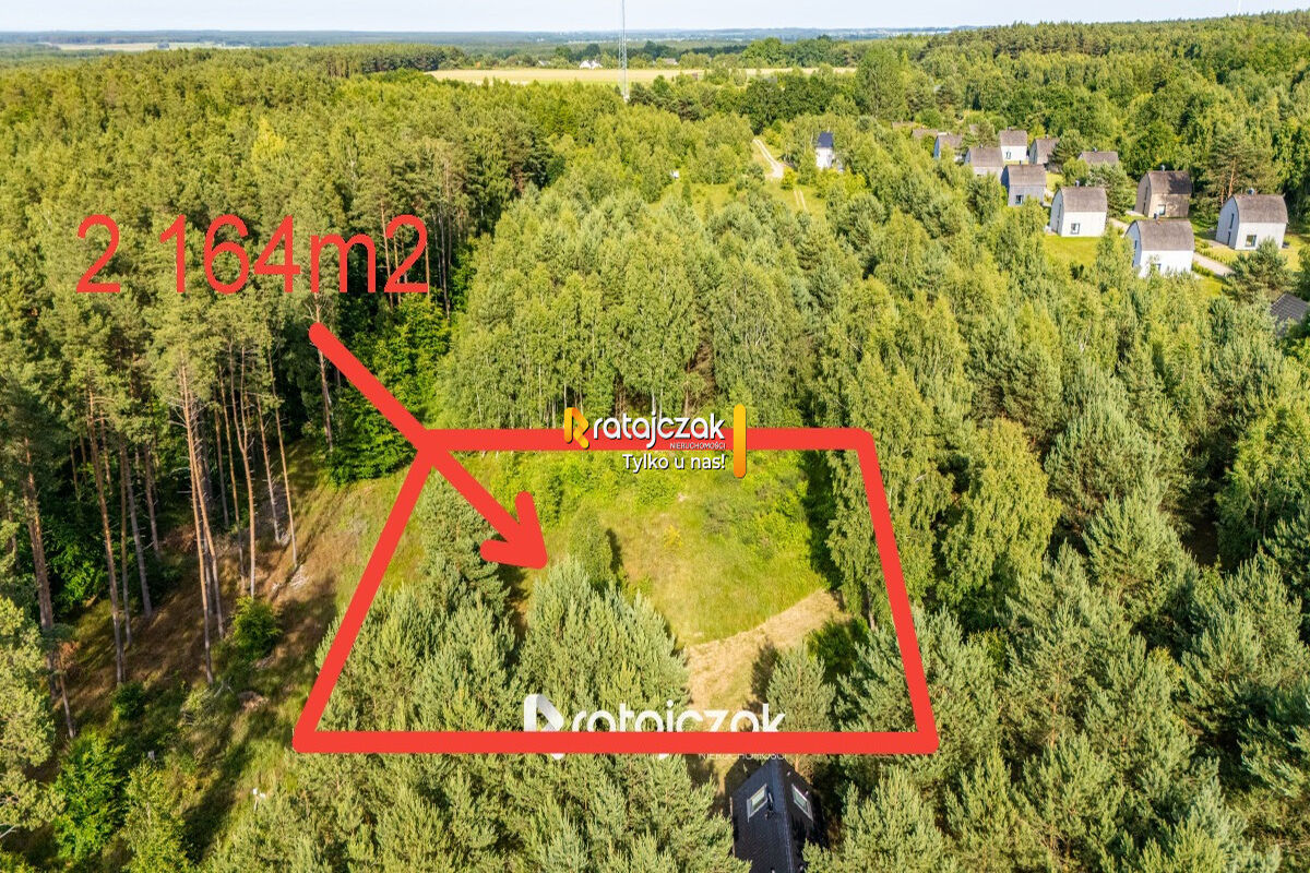 DZIAŁKA BUDOWLANA | SASINO | POD LASEM | MORZESasino