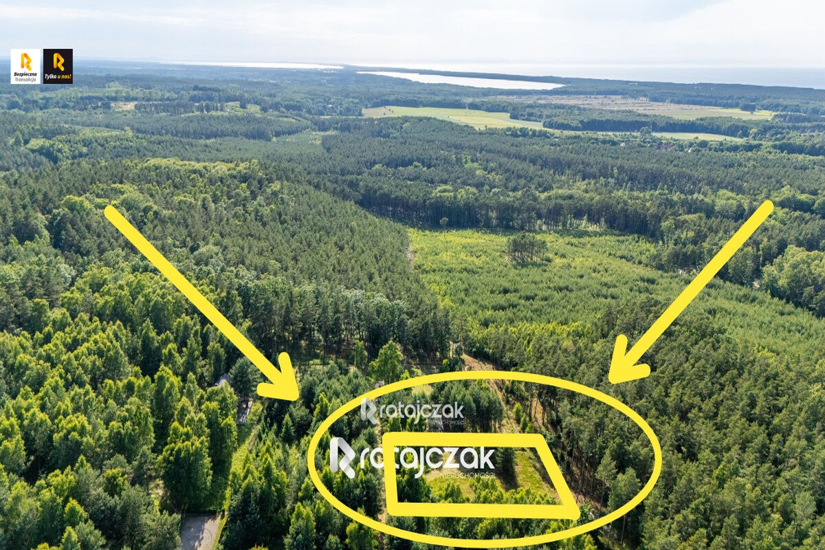 DZIAŁKA BUDOWLANA | SASINO | POD LASEM | MORZESasino