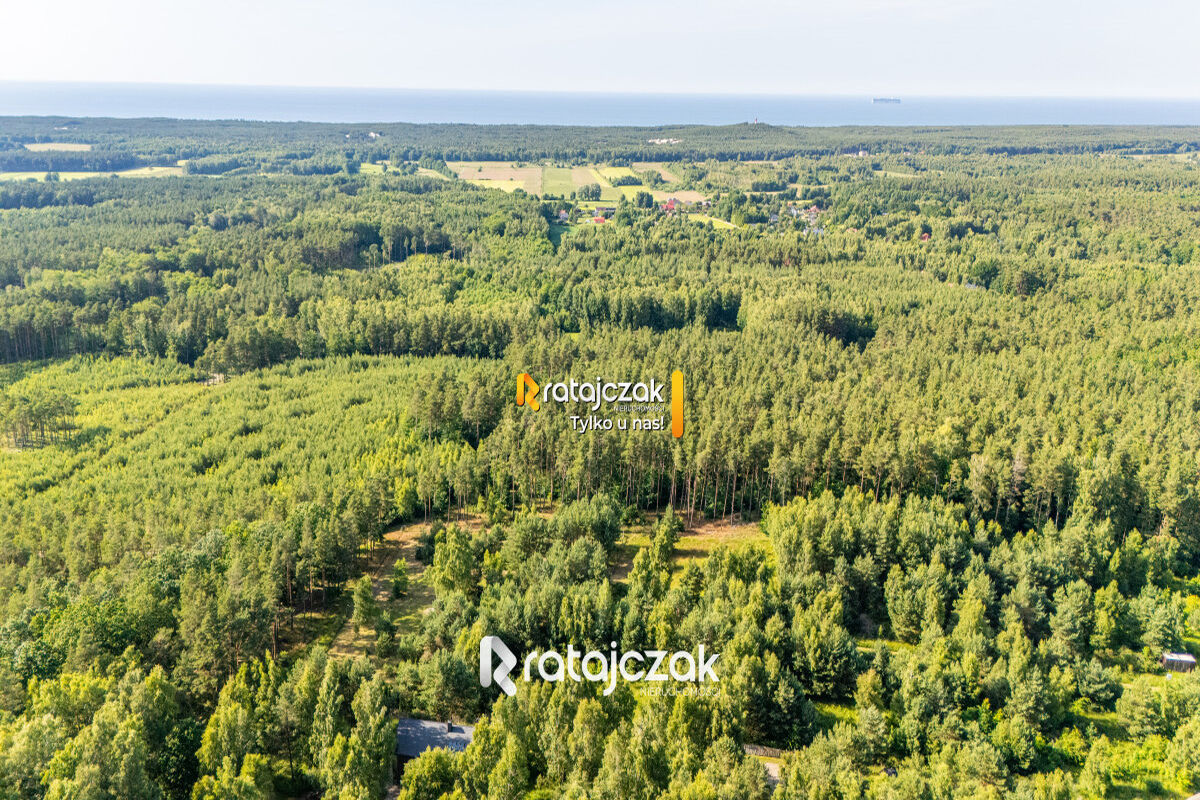 DZIAŁKA BUDOWLANA | SASINO | POD LASEM | MORZESasino