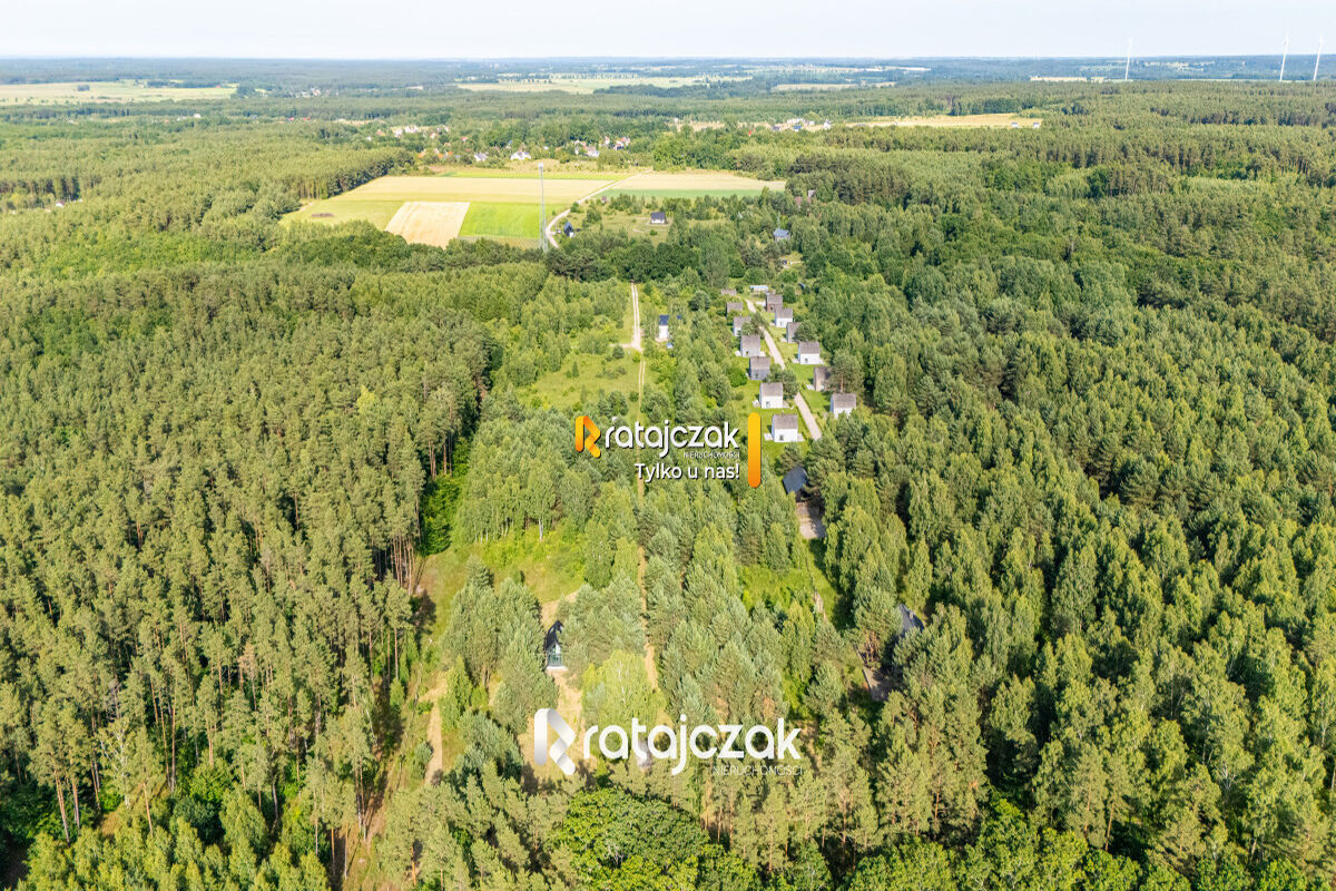 DZIAŁKA BUDOWLANA | SASINO | POD LASEM | MORZESasino