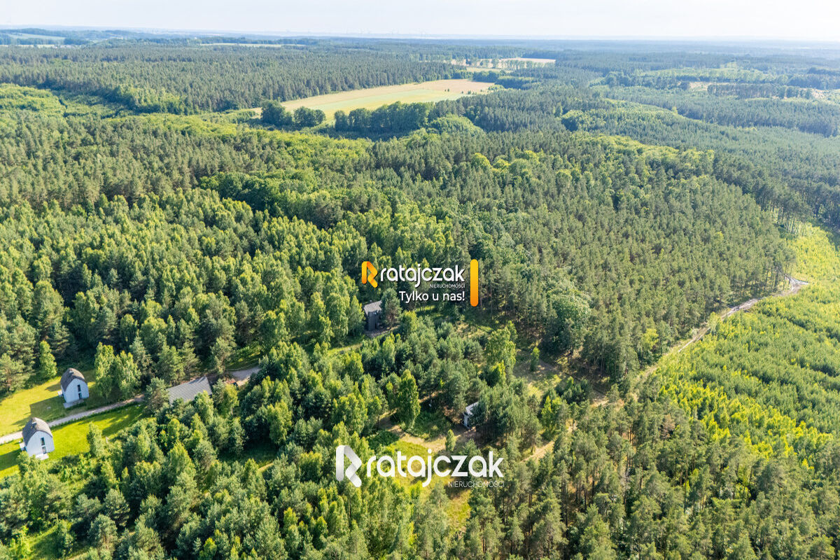 DZIAŁKA BUDOWLANA | SASINO | POD LASEM | MORZESasino