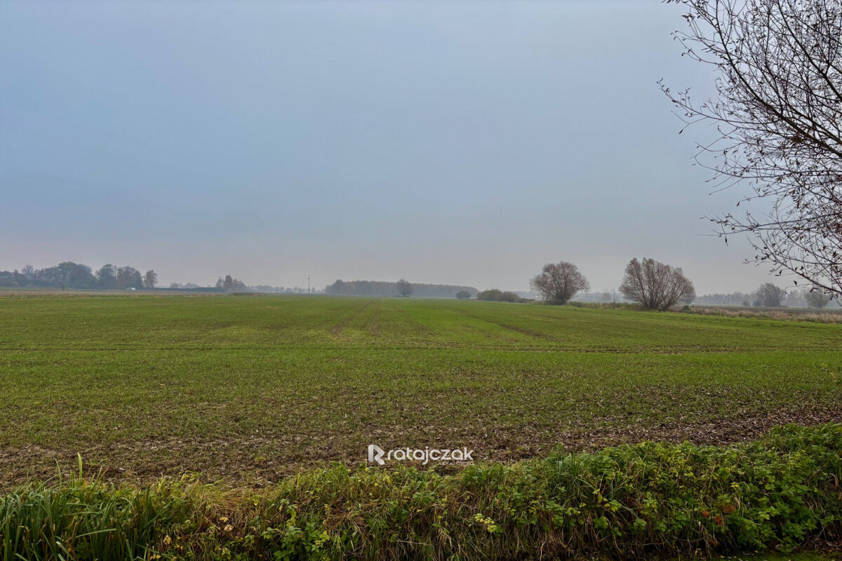 Sprzedam 3 działki budowlane z warunkami zabudowyDrewnica