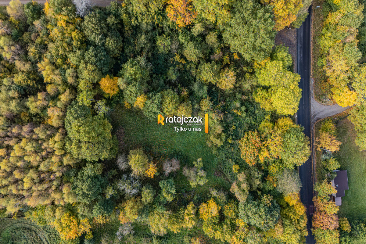 Działka 6066 m² | Ciekocino gm. Choczewo | WZ na 2 domy | Blisko morza – Ciekocino