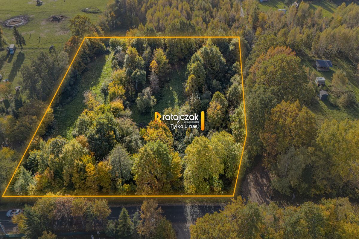 Działka 6066 m² | Ciekocino gm. Choczewo | WZ na 2 domy | Blisko morza – Ciekocino