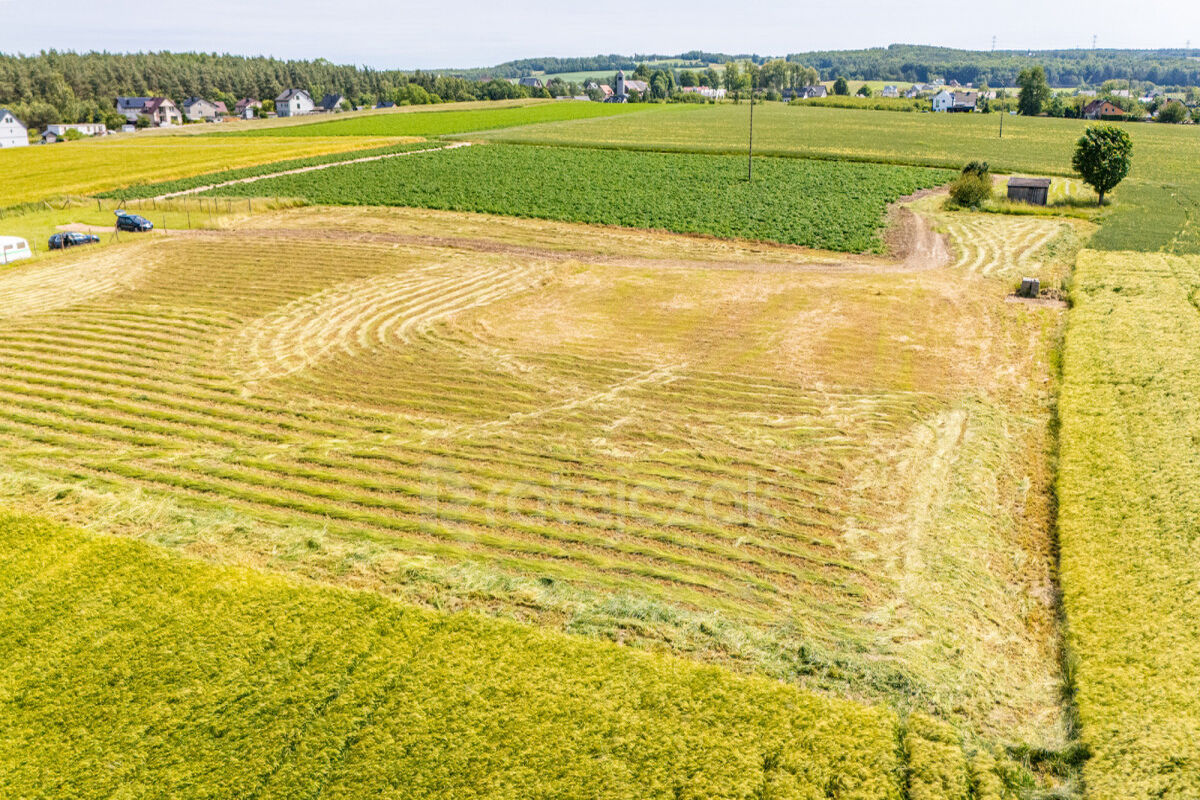Działki z odrębnymi Warunkami Zabudowy | RobakowoRobakowo