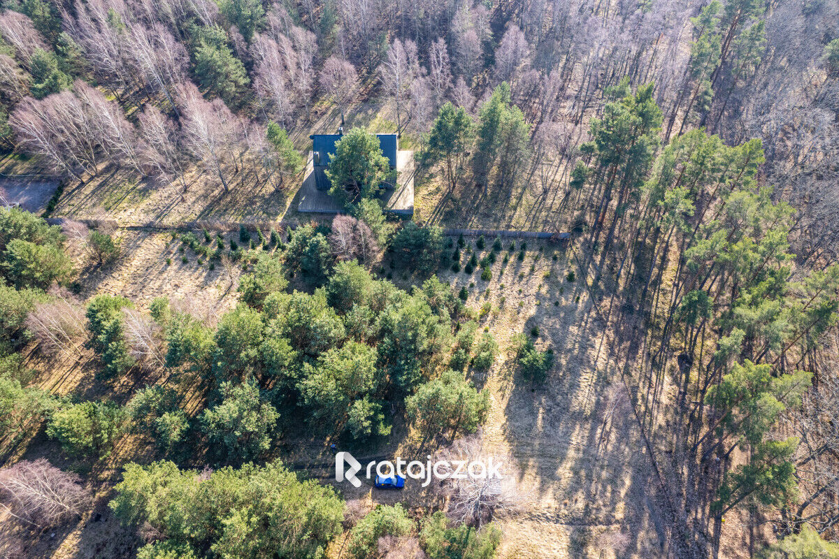 Działka z widokiem na morze | Sasino |  pod lasemSasino