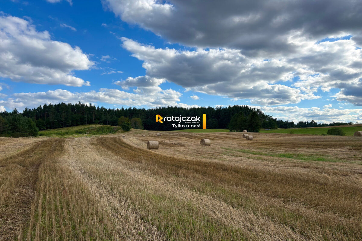 Idealne pod dom jednorodzinny | MPZPGdynia