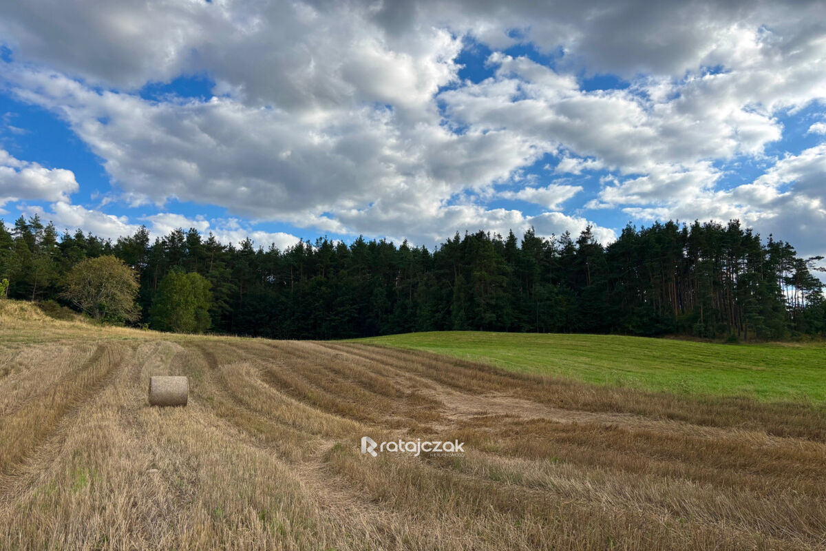 Idealne pod dom jednorodzinny | MPZPGdynia
