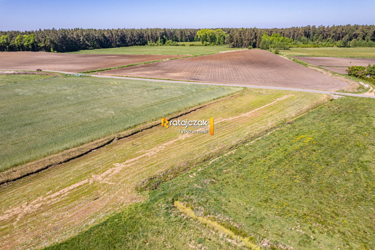 DZIAŁKA BUDOWLANA | UZBROJONA | LAS | NAD MORZEMParszczyce