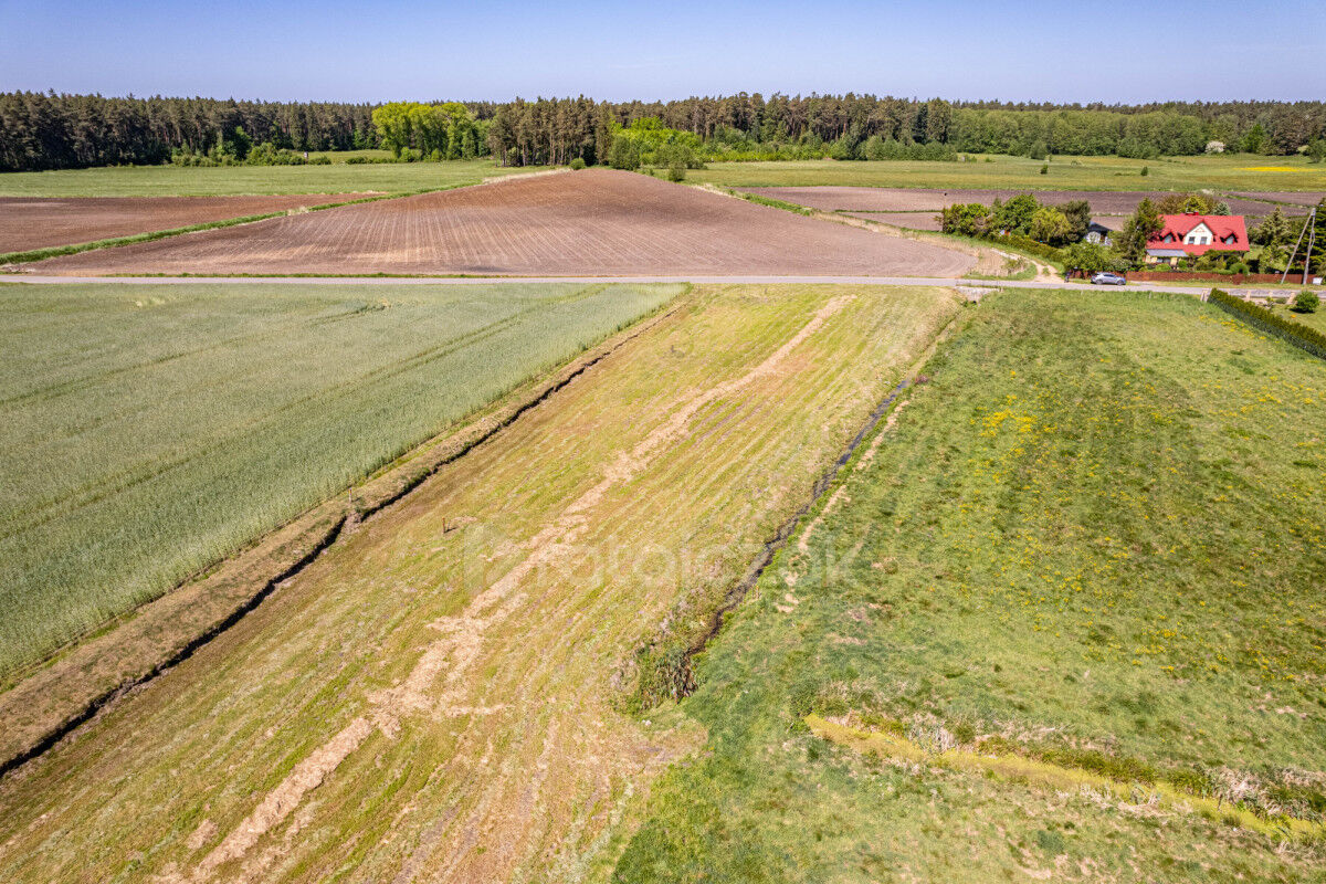 DZIAŁKA BUDOWLANA | UZBROJONA | LAS | NAD MORZEMParszczyce