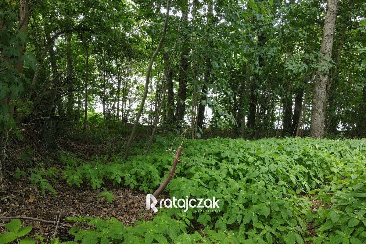 Działka Krzeszna z linią brzegową ! Kaszuby !Krzeszna