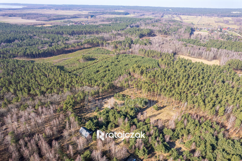 DZIAŁKA INWESTYCYJNA | SASINO | LAS WIDOK NA MORZE - Sasino