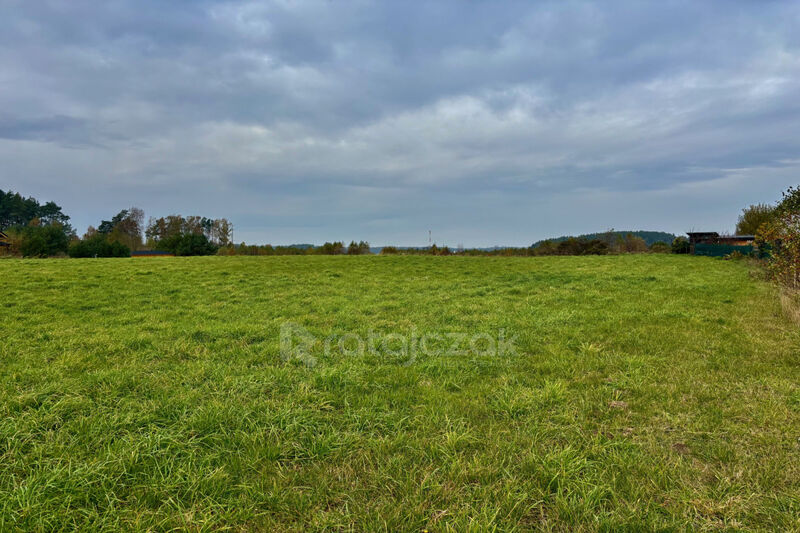 Zabudowa jednorodzinna wolnostojąca lub bliźniacza - Gdynia