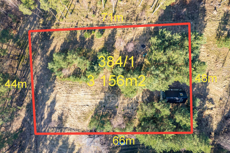 DOMEK NAD MORZEM | LAS | SASINO | 3 156m2 DZIAŁKA - Sasino