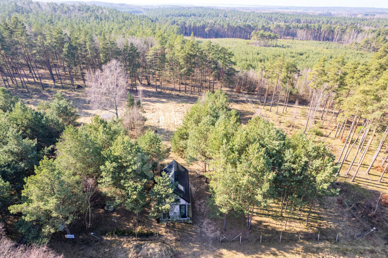 DOMEK NAD MORZEM | LAS | SASINO | 3 156m2 DZIAŁKA - Sasino