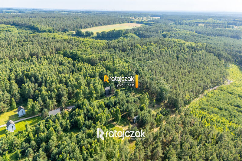 DZIAŁKA BUDOWLANA | SASINO | POD LASEM | MORZE - Sasino