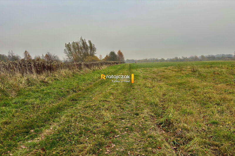 Sprzedam działkę budowlaną w Drewnicy - 3356 m² - Drewnica