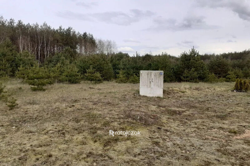 Działka 4 2 ha pod budowę osiedla (16 domów) - Przewóz