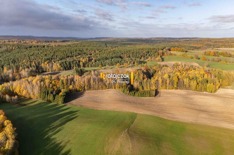 Dom całoroczny na Kaszubach | Widok na jezioro  blisko lasu | Strzepcz - Strzepcz