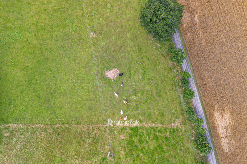 Działka siedliskowa Milwino - blisko trasy S6 - Milwino