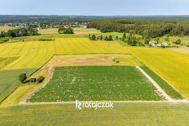 Działki z wydanymi Warunkami Zabudowy | Robakowo - Robakowo