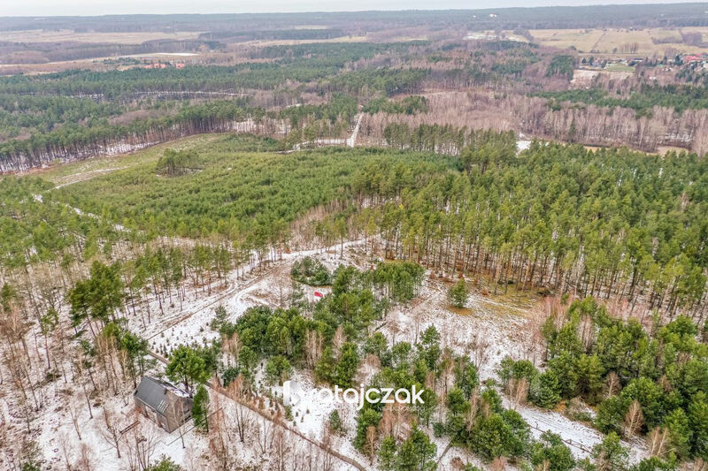 Działka z widokiem na morze | Sasino |  pod lasem - Sasino