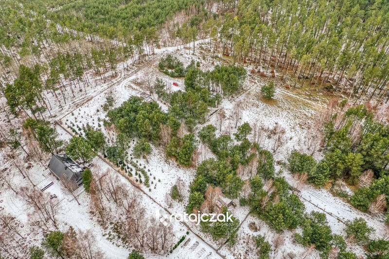 Działka z widokiem na morze | Sasino |  pod lasem - Sasino