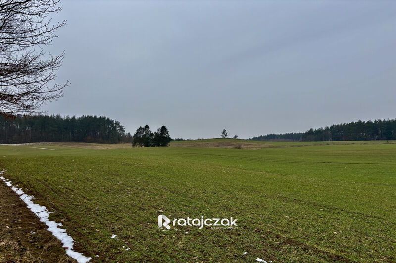Na sprzedaż 12 działek budowlanych w Gdyni | mpzp - Gdynia