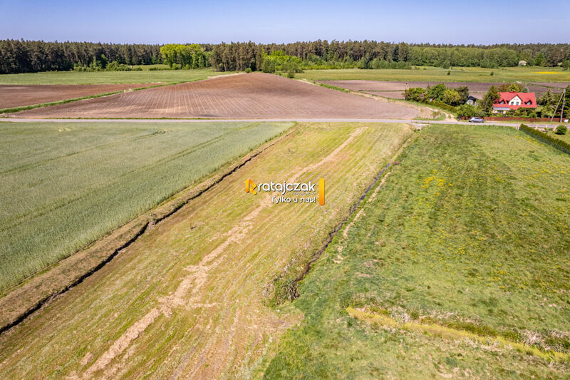 DZIAŁKA BUDOWLANA | UZBROJONA | LAS | NAD MORZEM - Parszczyce