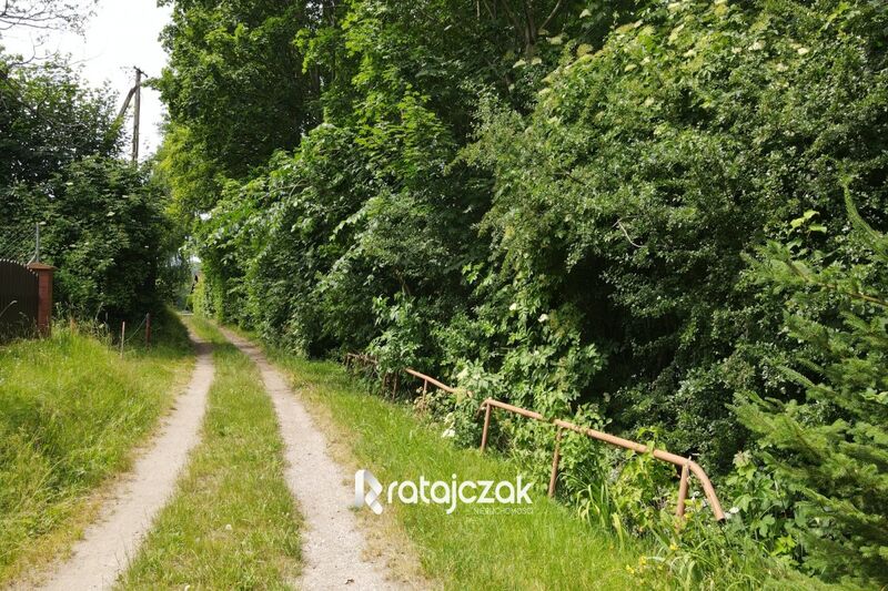Działka Krzeszna z linią brzegową ! Kaszuby ! - Krzeszna