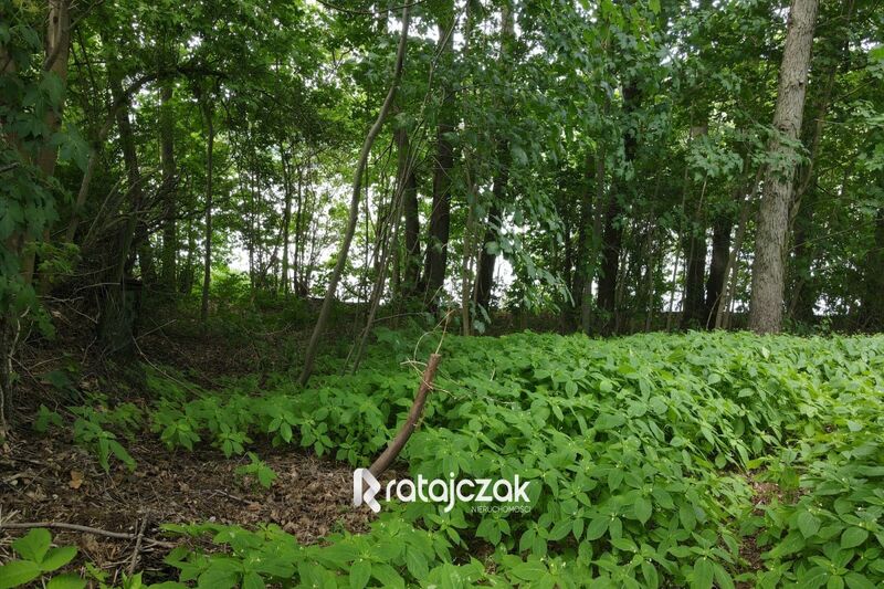 Działka Krzeszna z linią brzegową ! Kaszuby ! - Krzeszna